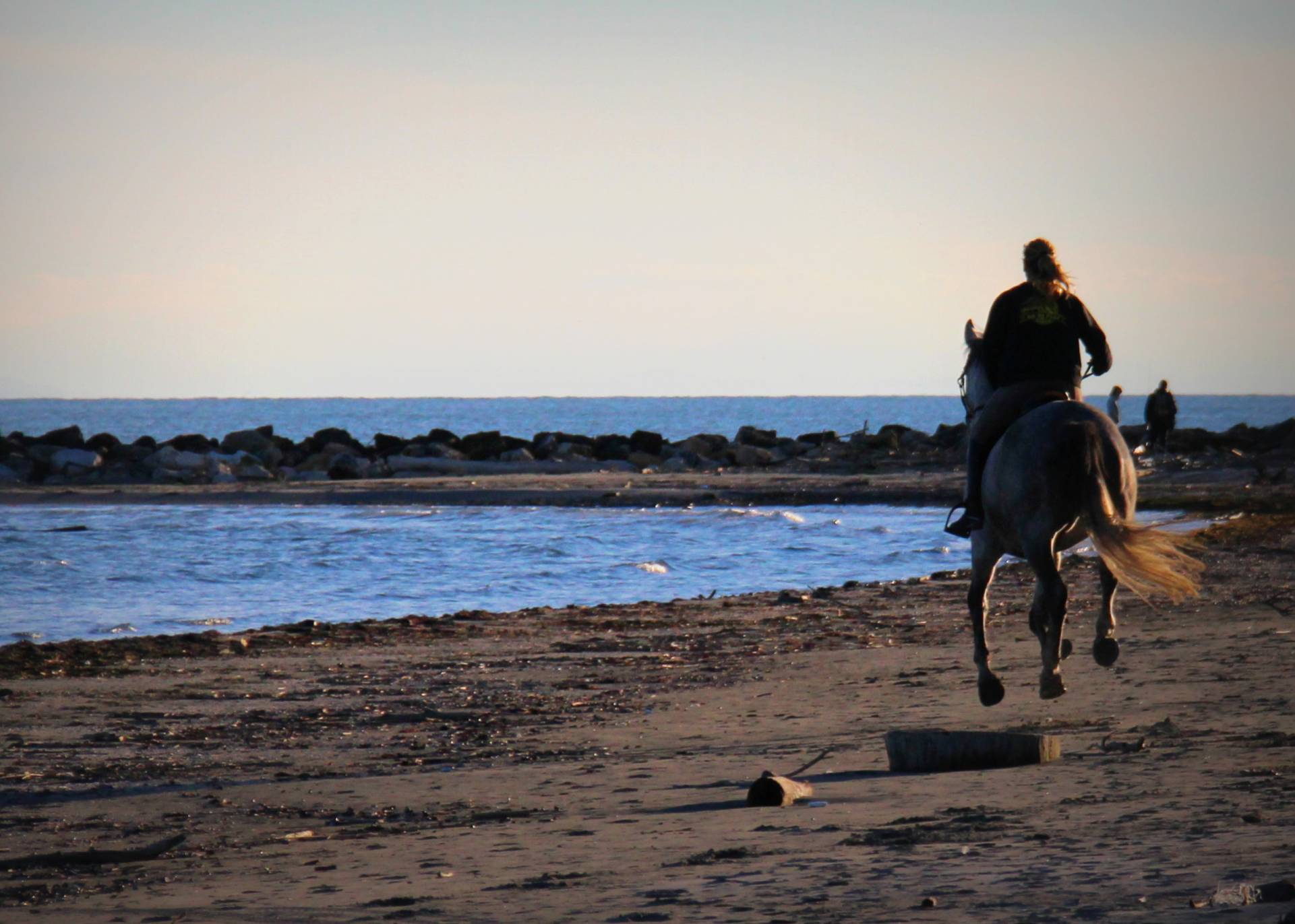 Agriturismo La Fraterna Cosa fare nel Delta del Po - Agriturismo La Fraterna